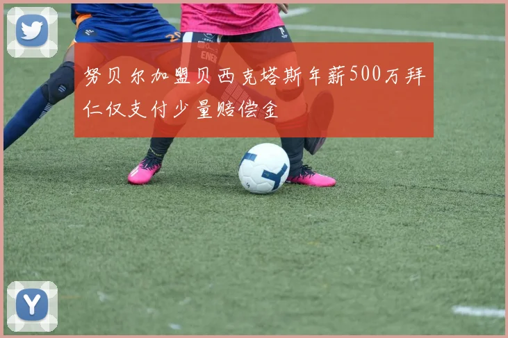 努贝尔加盟贝西克塔斯年薪500万拜仁仅支付少量赔偿金