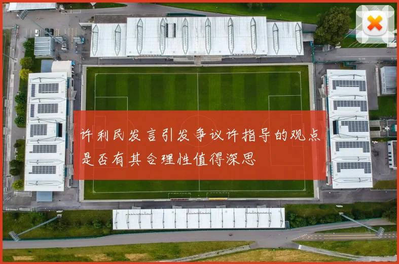 许利民发言引发争议许指导的观点是否有其合理性值得深思