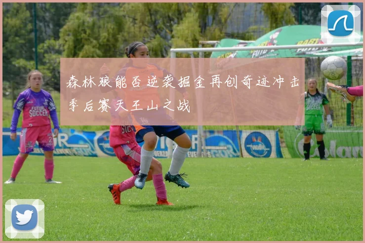 森林狼能否逆袭掘金再创奇迹冲击季后赛天王山之战